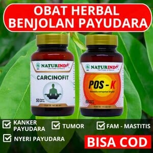 Gambar Obat Herbal Carcinofit Original