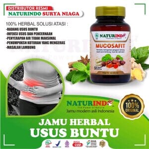 Gambar Obat Herbal Mucosafit Original - Naturindo Official Herbal Shop